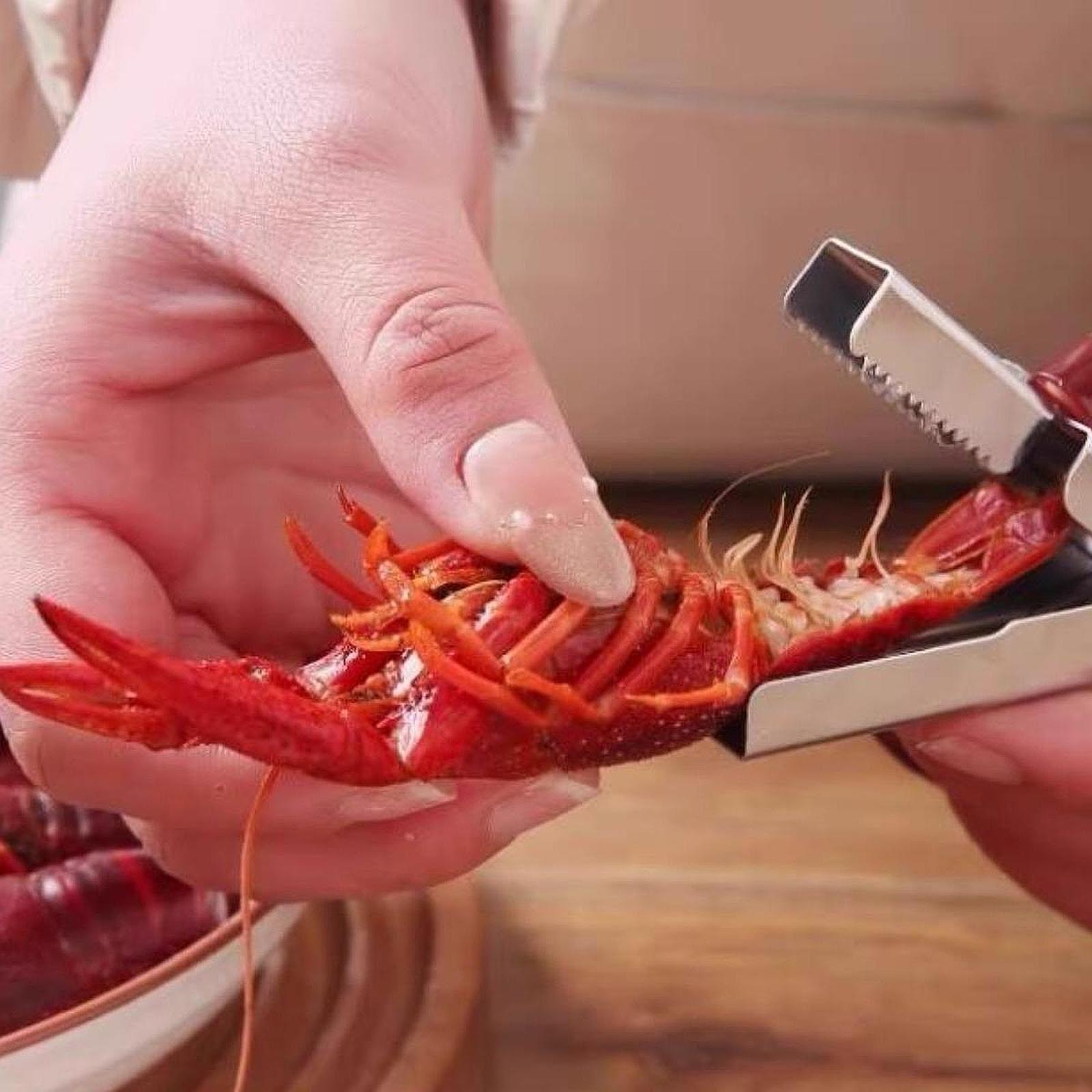 Dayanıklı Paslanmaz Çelik Kere - Meal Prep Quick incelemesi ve fiyatı